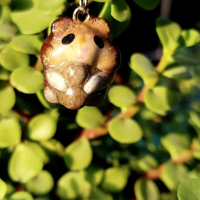 جاکلیدی همستر