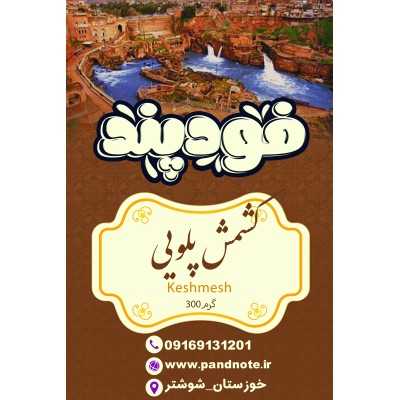 آجیل|قیسی خشک فود پند 300گرمی